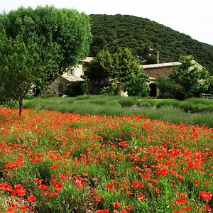 Le Mas De La Fontaine Bed & Breakfast Le Pegue