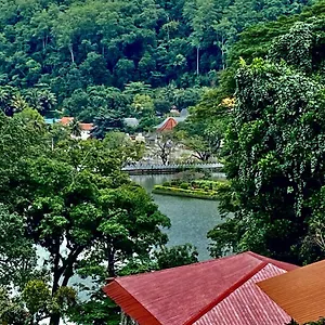 Sesatha Affittacamere