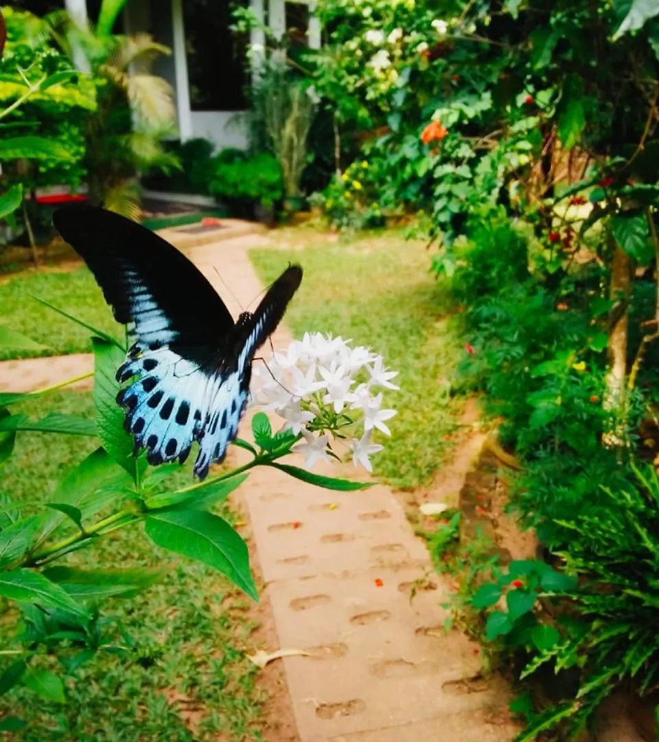 St Bridget'S Country Bungalow Kandy Guest house